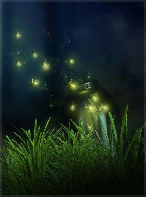81 Best Magical Fireflies Images Nature Firefly Magical