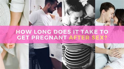 How Long Does It Take To Get Pregnant After Sex What Women