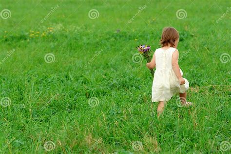 Little Girl Walk On Green Field Stock Photo Image Of Green Activity