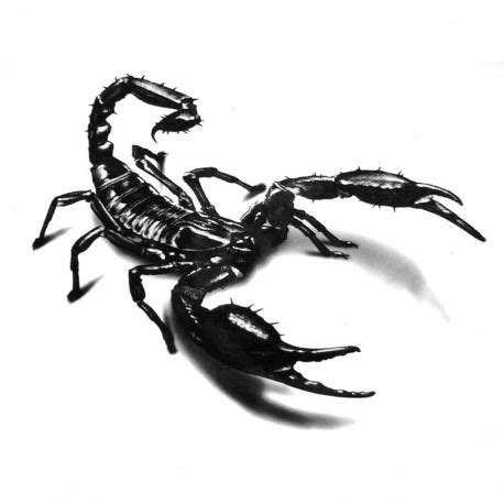 Here we collect some of best 55 best scorpio tattoos designs and ideas for men and women. Tatouage temporaire scorpion - tempo-tattoo