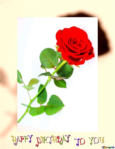 Red Beautiful Rose Happy Birthday Card