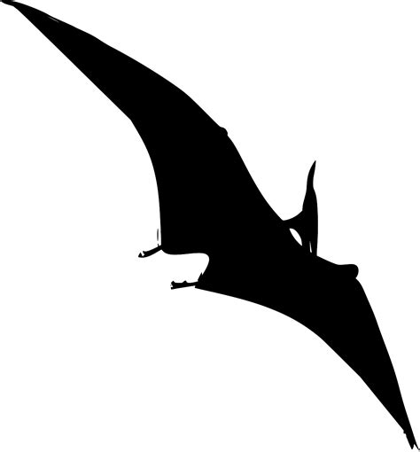 Svg Dinosaur Pterodactyl Flying Free Svg Image And Icon Svg Silh