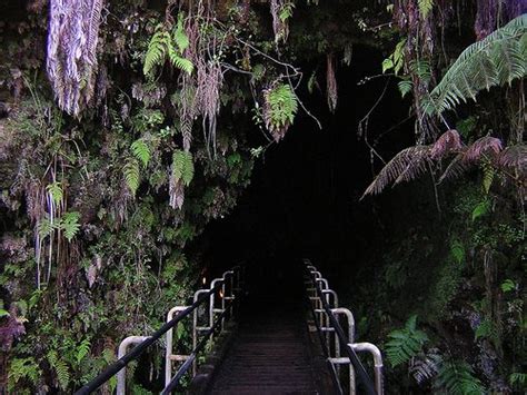 Thurston Lava Tube Hawaii Volcanoes National Park Been There Done