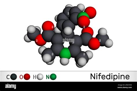 Nifedipine Molecule It Is Dihydropyridine Calcium Channel Blocking
