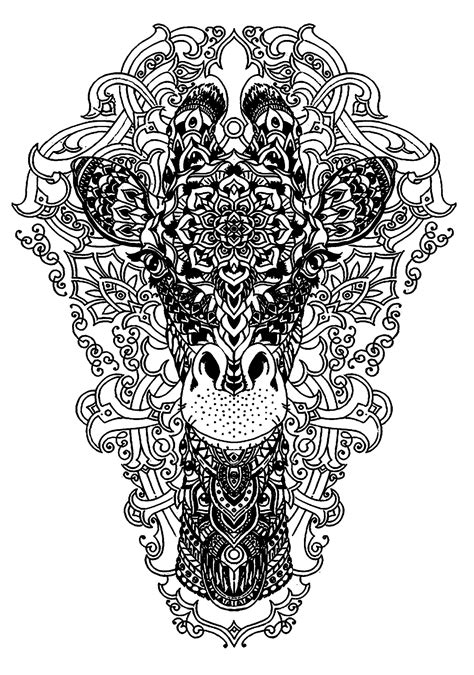 Select from 33377 printable crafts of cartoons, nature, animals, bible and many more. Head of a giraffe | Animals - Coloring pages for adults ...