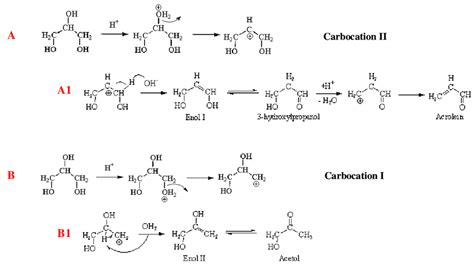 Scheme Ionic Pathways Of Acid Catalyzed Glycerol Dehydration A To