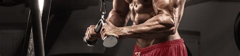 Lower Tricep Exercises Off 54