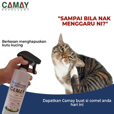 Camay Cat Flea Lice Spray Spray Kutu Kucing Dan Serangga Shopee