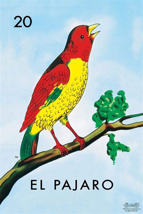 We would like to show you a description here but the site won't allow us. Amazon.com: 20 El Pajaro Bird Loteria Card Mexican Bingo Lottery Poster 12x18 inch: Gateway in ...