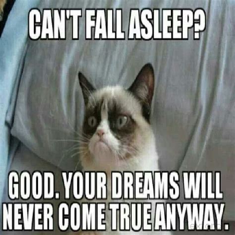 Grumpy Cat On Insomnia Grumpy Cat Humor Grumpy Cat Quotes Grumpy