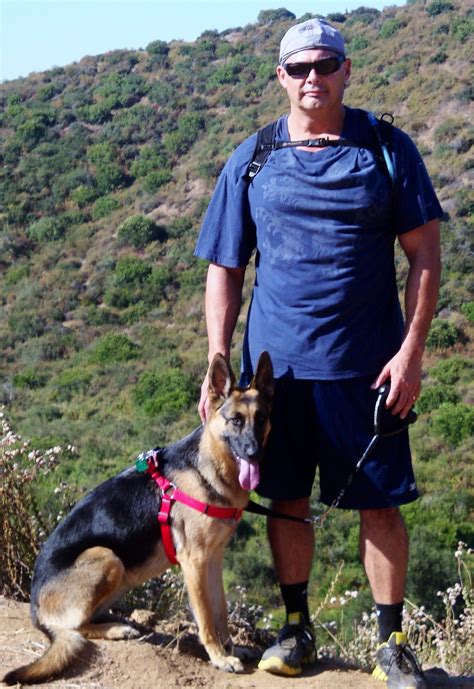 My Favorite Hiking Partner Man And Dog German Shepherd Working Dogs