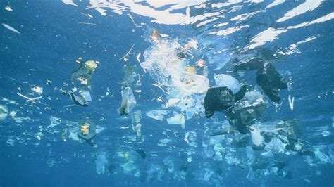 Oceans Littered With 171 Trillion Plastic Pieces Bbc News