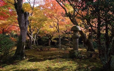 Jeffrey Friedls Blog Kyoto Fall Foliage S Kyoto Autumn Hd Wallpaper