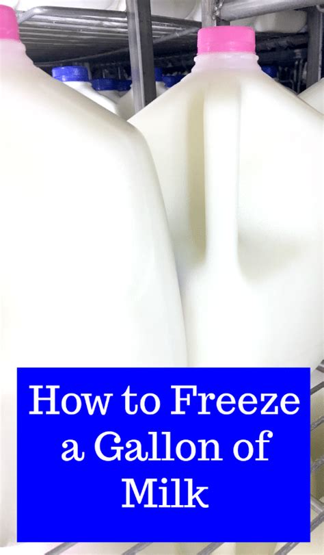 How To Freeze A Gallon Of Milk Thrifty Jinxy