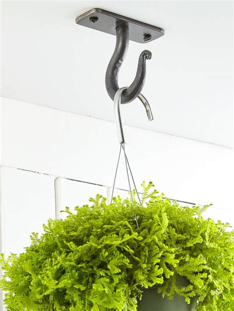 Cool Ceiling Hooks For Plants Lowes 2022 Eviva Midtown