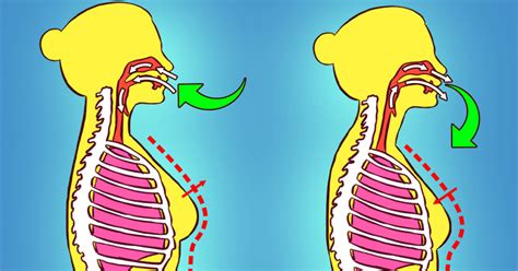 First, you'll get an urge to take a breath because of the co2 building up in your system, and if you resist it, your diaphragm will start. How to Hold Your Breath Longer Underwater - Weheartlady