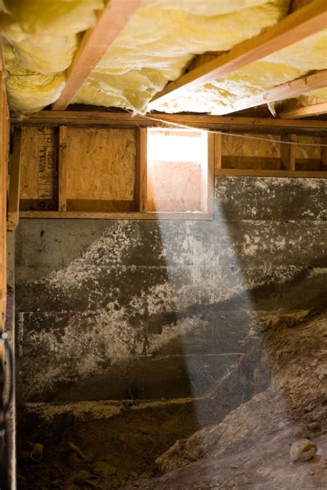 We did not find results for: UnderAire Deluxe Two Fan Crawl Space Ventilator | Pier and ...