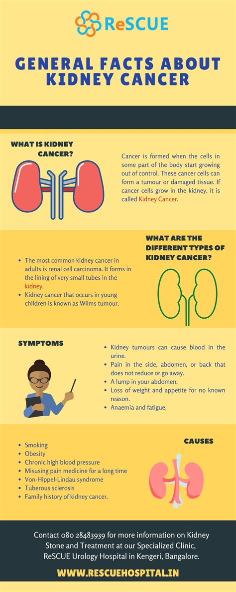 Ppt General Facts About Kidney Cancer Rescue Hospital Powerpoint