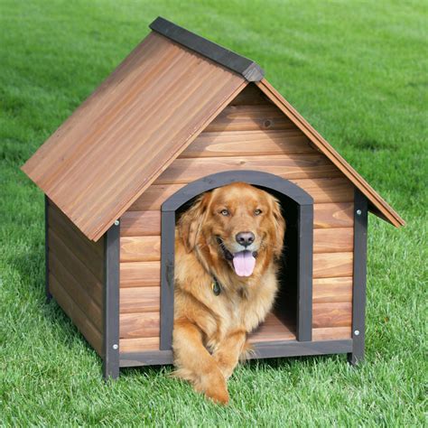 Precision Outback Country Lodge Dog House Dog Houses At Hayneedle