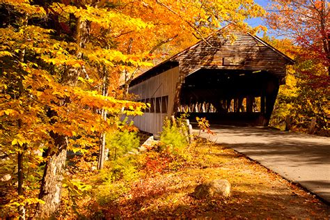 Albany Covered Bridge Bridges New Hampshire Usa Fall Autumn Leaves