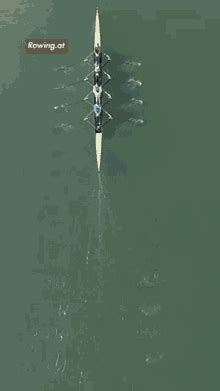 Rowingat Aviron Sticker Rowingat Rowing Aviron Discover Share Gifs