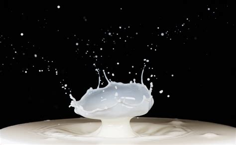 Bowl High Speed Milk Drop Collision Jeff Miller Flickr
