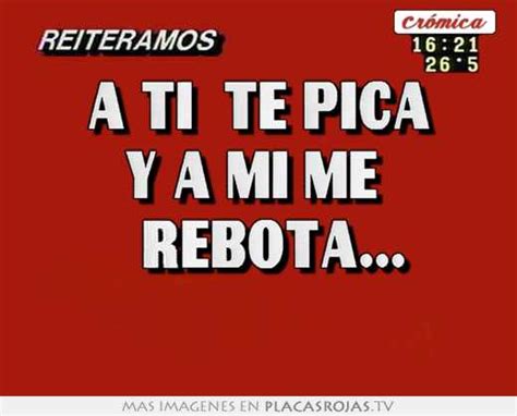 A Ti Te Pica Y A Mi Me Rebota Placas Rojas Tv