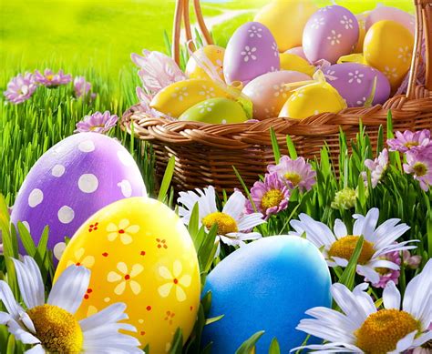 Easter Time Grass Basket Eggs Flowers Spring Easter Camomile