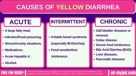 Yellow Diarrhea 12 Causes Doctor Explains Oh My Gut