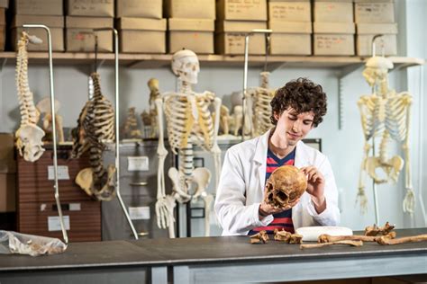 Bsc Hons Archaeological Anthropological And Forensic Sciences