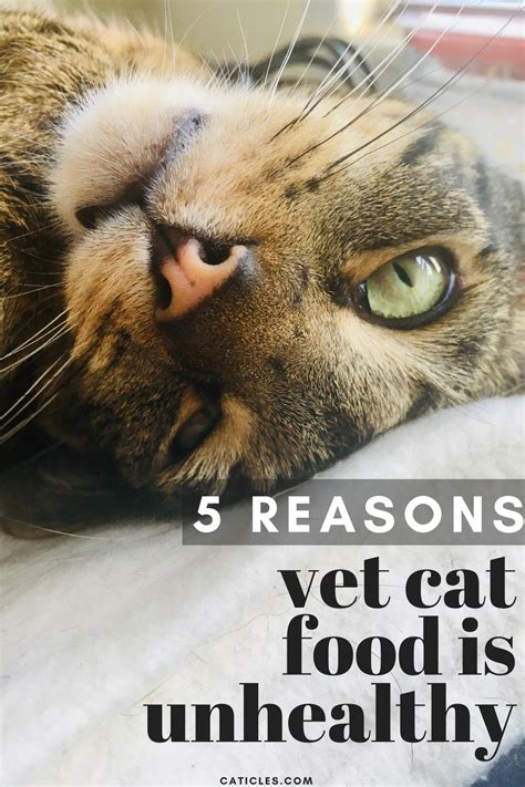 Purina pro plan kitten shredded blend chicken and rice formula dry cat food; 5 Reasons Your Vet Recommended Cat Food is Complete Garbage