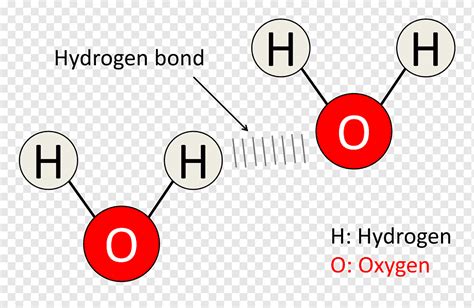 Oxygen Covalent Bond Diagram