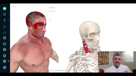 Sternocleidomastoid Trigger Point Of The Week Youtube
