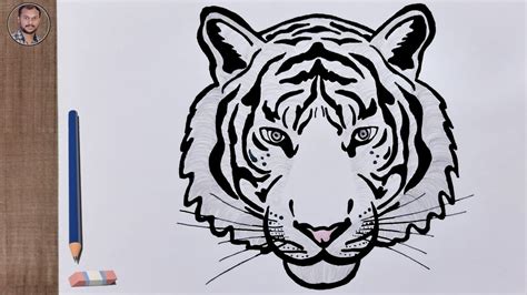 Easy Drawing Pictures Tiger Head Simple Drawing Youtube