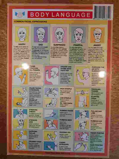 Body Language Chart Crystal Haven