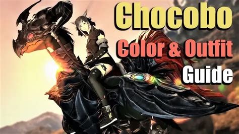 Ffxiv A Quick Guide To Chocobo Companion Basics How To Unlock