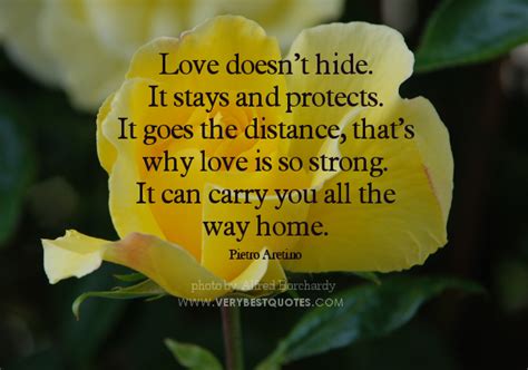 Hiding From Love Quotes Quotesgram