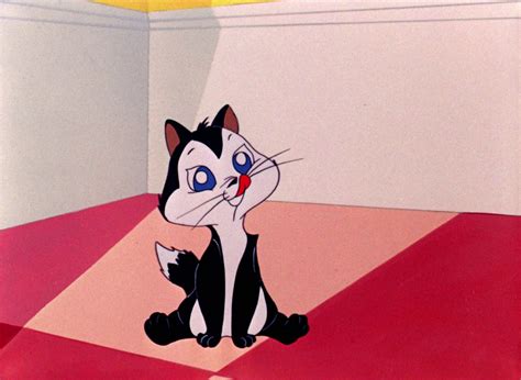 Looney Tunes Pictures Kiss Me Cat