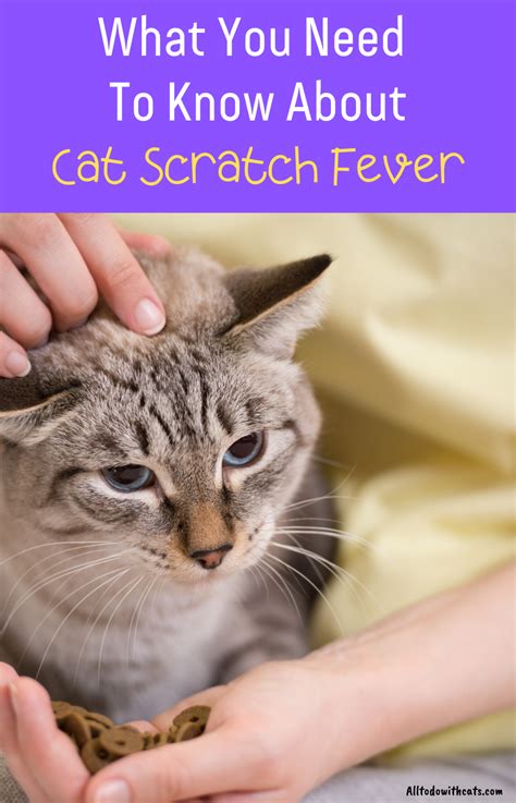 No, cats can not get canine parvo. Pin on Cat Care Tips