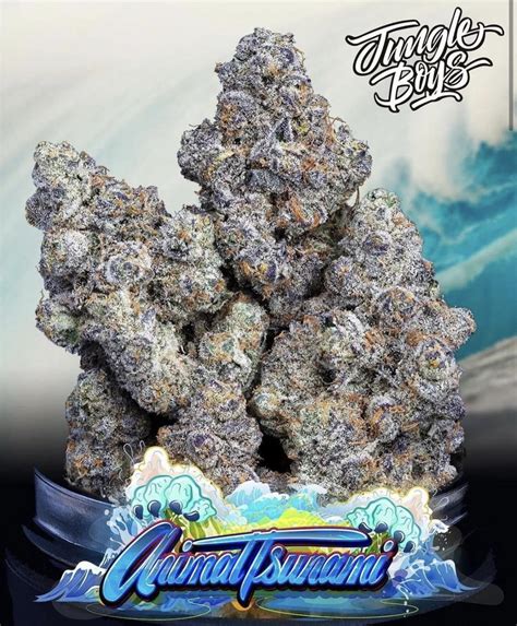 Animal Tsunami Strain