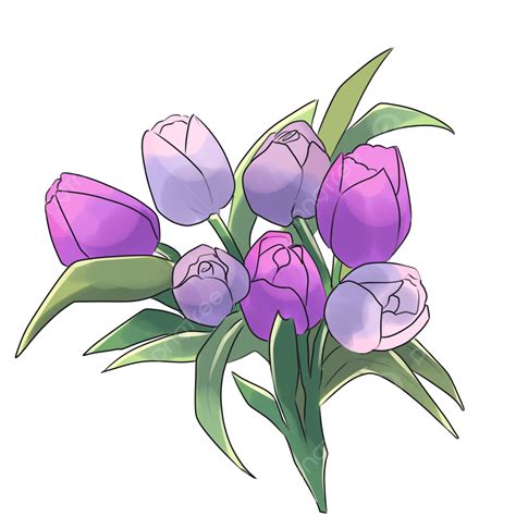 Cute Pink Purple Tulips Cute Purple Tulips Png Transparent Clipart