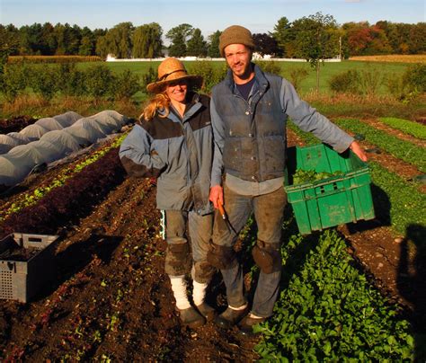 How To Make A Living From A 15 Acre Market Garden