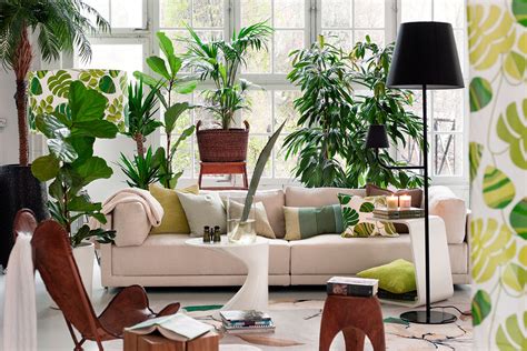 This Is How Many Plants You Need Per Room According To