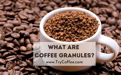What Are Coffee Granules Making Process Try Coffee