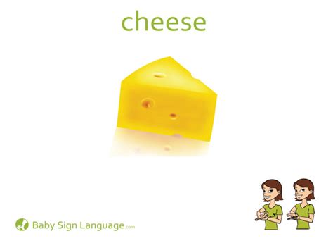 Cheese Flash Card
