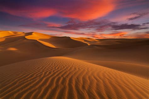The Sahara Earths Largest Hot Desert Desert Photography Nature