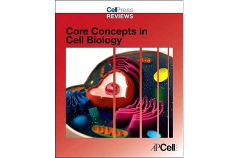 Cell Press Reviews Core Concepts In Cell Biology Cell Press Reviews