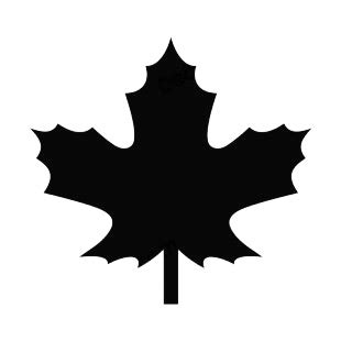 Sycamore maple norway maple maple leaf, leaf, maple, leaf, maple leaf png. Maple leaf silhouette plants decals, decal sticker #15246