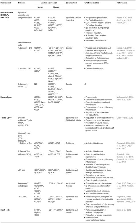 Frontiers Unraveling The Ecm Immune Cell Crosstalk In Skin Diseases