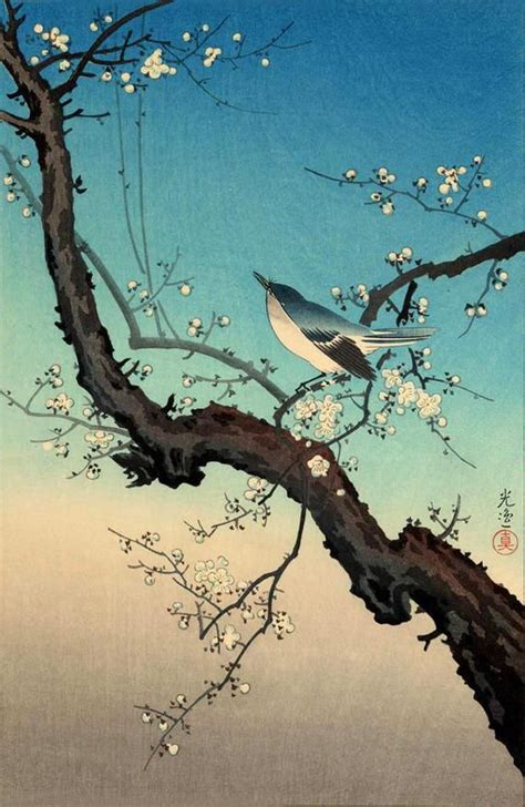 Japanese Birds Flowers Art Prints Woodblock Prints Paintings Warbler